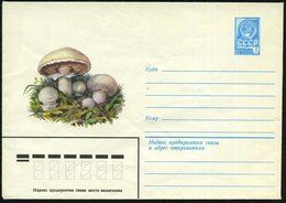 1980 UdSSR. 4 Kop. Ganzsachen-Umschlag, Blau: Wiesen-Champignons, Ungebr. - Pilze / Mushrooms / Champignons / Funghi - Sonstige & Ohne Zuordnung