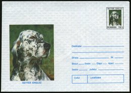 1996 RUMÄNIEN, 150 L. Ganzsachen-Umschlag: Englischer Setter (Jagdhund) Ungebr. (Mi.U 1905) - Jagd / Hunting / Chasse /  - Andere & Zonder Classificatie