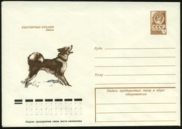 1978 UdSSR, 4 Kop. Ganzsachen-Umschlag, Braun: Laika (Jagdhund) Ungebr. - Jagd / Hunting / Chasse / Caccia - Autres & Non Classés