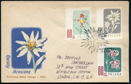 1957 (12.8.) POLEN, Geschützte Blumen, Kompl. Satz + ET-Sonderstempel: WARSZAWA 1, 2 Ausl.-FDC-Sonderumschläge, 2 Belege - Autres & Non Classés