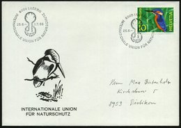 1966 SCHWEIZ, Sonderstempel: 6000 LUZERN, INTERNAT. UNION FÜR NATURSCHUTZ UICN (Logo) EF 10 Pf. "Pro Natur" = Eisvogel,  - Other & Unclassified