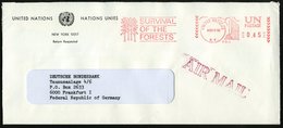 1988 UNO, NEW YORK, Absender-Freistempel: UNITED NATIONS, N.Y. SURVIVAL OF THE FORESTS (Bäume) UN-Übersee-Dienstbrief -  - Other & Unclassified