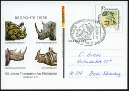 2001 (28.10.) 71063 SINDELFINGEN 1, 100 Pf. Sonder-Ganzsache: BEDROHTE TIERE; Sumatra-, Breitmaul-, Spitzmaul- U. Javana - Sonstige & Ohne Zuordnung