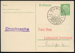 1935 (10.5.) HUSUM, Handwerbestempel: Besucht Die Weidemastvieh-Ausstellung (= Rind) Inl.-Karte (Bo.1) - Nutztiere / Dom - Andere & Zonder Classificatie