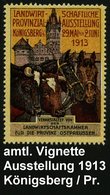 1913 Königsberg/ Pr., Color-Vignette: Landwirtschaftl. Provinzial-Ausstellung (Rinder, Pferde, Schloß) Orig. G. - Nutzti - Otros & Sin Clasificación