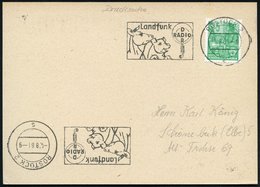 1961 (Aug.) ROSTOCK 2, Maschinen-Werbestempel: Landfunk RADIO DDR = Rind U. Schwein Vor Mikrophon, Inl.-Karte (Bo.41 A , - Andere & Zonder Classificatie