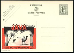 1952 BELGIEN, 1,20 F. Publibel-Ganzsache: JAVA Producten.. = Kamel-Reiter, Lastkamel, Palme (Mi.283 II / 1201) - Nutztie - Other & Unclassified