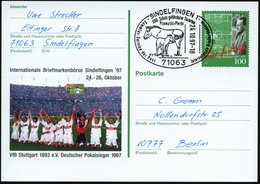 1997 (24.10.) 71063 SINDELFINGEN 1, Sonderstempel: UNO: Schutz Gefährderter Tierarten, Przewalski-Pferde.. (2 Przewalski - Otros & Sin Clasificación