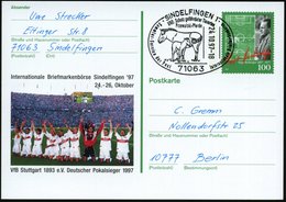 1997 (24.10.) 71063 SINDELFINGEN 1, Sonderstempel: UNO: Schutz Gefährderter Tierarten, Przewalski-Pferde.. (2 Przewalski - Sonstige & Ohne Zuordnung