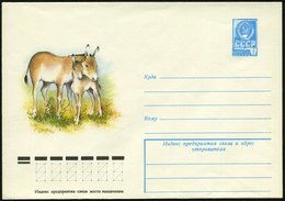 1978 UdSSR, 4 Kop. Ganzsachen-Umschlag, Blau: Esel Mit Fohlen, Ungebr. - Pferd / Horse / Cheval / Cavallo - Sonstige & Ohne Zuordnung