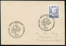 1974 (12.5.) 114 BERLIN-BIESDORF 1, Sonderstempel: VKSK-8 Allgem. Rassehund Ausstellung (Hundekopf) Inl.-Karte - Hund, W - Other & Unclassified