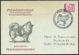 1984 (13.5.) 1141 BERLIN-BIESDORF 1, Sonderstempel: XVIII.9. Allgem. Rassehund Ausstellung VKSK (Spitzl) Motivgleicher S - Other & Unclassified