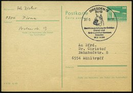 1984 (31.3.) 8019 DRESDEN 19, Sonderstempel: Bezirksausstellung Der Sektion Dienst- U. Gebrauchshundewesen (Boxerkopf) I - Andere & Zonder Classificatie