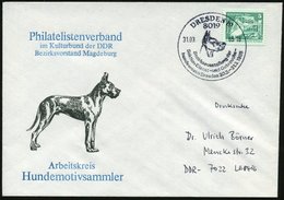 1985 (31.3.) 8019 DRESDEN 19, Sonderstempel: Bezirksausstellung Der Sektion Dienst- U. Gebrauchshundewesen 1985 (Doggenk - Other & Unclassified