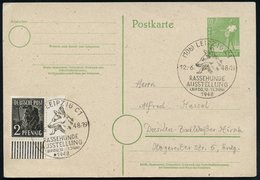 1948 (12.6.) (10 B) LEIPZIG C 1, Sonderstempel: RASSEHUNDE AUSSTELLUNG = Schäferhundkopf, Inl.-Karte (Bo.214, Type I) -  - Other & Unclassified