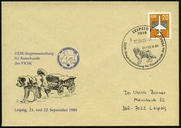 1985 (22.9.) 7010 LEIPZIG, Sonderstempel: DDR Siegerausstellung Für Rassehunde Des VKSK (Bernhardiner) Auf Passendem Son - Other & Unclassified