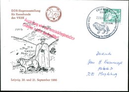 1986 (19.9.) 7010 LEIPZIG, Sonderstempel: DDR Siegerausstellung Für Rassehunde Des VKSK (Hirtenhund) + Roter Nebenstempe - Other & Unclassified