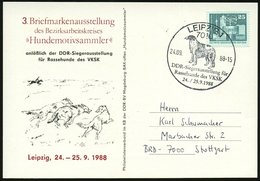 1988 (24.9.) 7010 LEIPZIG, Sonderstempel: DDR Siegerausstellung Für Rassehunde Des VKSK (Windhund) Auf Passender Sonderk - Otros & Sin Clasificación