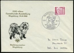 1986 (24.8.) 3010 MAGDEBURG 1, Sonderstempel: VKSK-DDR-offene Rassehundeausstellung (Chow-Chow) Auf Passendem Sonderumsc - Other & Unclassified