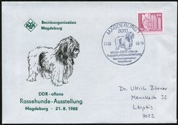 1988 (21.8.) 3010 MAGDEBURG 1, Sonderstempel: VKSK-DDR-offene Rassehundeausstellung (Pon-Hirtenhund) Auf Passendem Sonde - Sonstige & Ohne Zuordnung