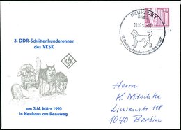 1990 (3.9.) 6420 NEUHAUS 1, Sonderstempel: III. Schlittenhunderennen Des VKSK (Schlittenhund) Auf Passendem Sonderumschl - Other & Unclassified