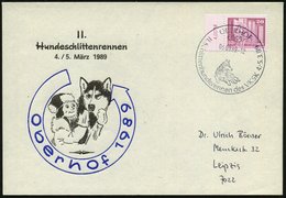 1989 (5.3.) 6055 OBERHOF, Sonderstempel: II. Schlittenhunderennen Des VKSK = Schlittenhund) Auf Passendem Sonderumschlag - Other & Unclassified