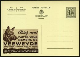 1954 BELGIEN, 1,20 F. Publibel-Ganzsache: Aidez-nous.. SOCIETE CONTRE LA CRUAUTE ENVERS LES ANIMAUX (Schäferhundkopf) =  - Otros & Sin Clasificación