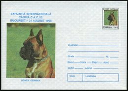 1996 RUMÄNIEN, 150 L. Sonder-Ganzsachen-Umschlag: Internat. Hunde-Ausstellung Bukarest = Deutscher Boxer, Ungebr. (Mi.U  - Other & Unclassified