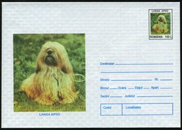 1996 RUMÄNIEN, 150 L. Sonder-Ganzsachen-Umschlag: Internat. Hunde-Ausstellung Bukarest = Lhasa Apso, Ungebr. (Mi.U 1904) - Autres & Non Classés