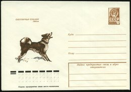 1978 UdSSR. 4 Kop. Ganzsachen-Umschlag, Braun: Jagdhunde, Laika, Ungebr. - Hund, Wolf, Fuchs / Dog / Chien / Cane - Other & Unclassified