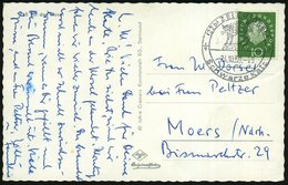 1959 (24.10.) (22 B) ZELL (MOSEL), Handwerbestempel: Schwarze Katz (= Katze Auf Weinfaß = Weinsorte) Bedarfs-s/ W.-Ak.:  - Otros & Sin Clasificación