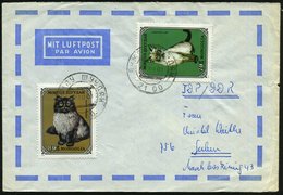 1979 MONGOLEI, 70 M. Siam-Katze U. 80 M. Rauchfarbene Perserkatze, Motivreine Frankatur Auf Übersee-Flugpostbrief (kl. R - Altri & Non Classificati