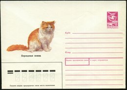1989 UdSSR. 5 Kop. Ganzsachen-Umschlag, Rotlila.: Persische Hauskatzen, Ungebr. - Wild- Und Hauskatzen / Cat / Chat / Ga - Altri & Non Classificati