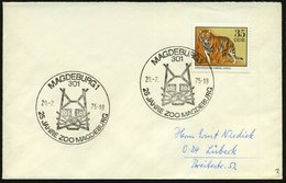 1975 (20.7.) 301 MAGDEBURG 1, Sonderstempel: 25 JAHRE ZOO.. = Luchskopf, EF 35 Pf. Tiger, Portorichtiger BRD-Brief (Mi.2 - Otros & Sin Clasificación