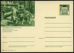 1969 5131 Tüddern, 20 Pf. Bild-Ganzsache Lorsch: Löensafari.. Raubtiergehege Für Autosafari = Löwen (u. Omnibusse) Ungeb - Sonstige & Ohne Zuordnung