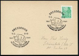 1961 (11.6.) DRESDEN N 6, Sonderstempel: 100 JAHRE ZOO DRESDEN.. = Nashorn, Inl.-Karte (Bo.237) - Wild Lebende Säugetier - Autres & Non Classés