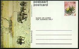 1973 SÜDWESTAFRIKA, 3 C. Bild-Ganzsache: Wildevarkel-Warthogs = Warzenschweine, Ungebr. - Wild Lebende Säugetiere / Wild - Otros & Sin Clasificación