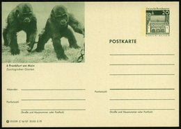 1970 6 Frankfurt Am Main, 20 Pf. Bild-Ganzsache Lorsch: Zoolog. Garten = 2 Gorillas, Ungebr. (Mi.P 99/C 16-121) - Primat - Sonstige & Ohne Zuordnung