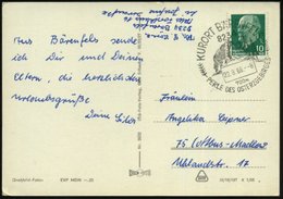 1966 (22.8.) 8234 BÄRENSTEIN KURORT, Handwerbestempel: PERLE DES OSTERZGEBIRGES = Bär Auf Felsen, Bedarfs-s/ W.-Ak.: Bär - Other & Unclassified