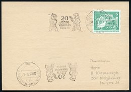 1975 (28.2.) 113 BERLIN-LICHTENBERG, Maschinen-Werbestempel: 20 Jahre TIERPARK BERLIN (2 Bären) = Zoo Ost-Berlin, EF 5 P - Autres & Non Classés