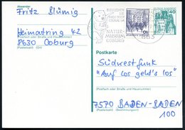 1979 863 COBURG 1, Maschinen-Werbestempel: ..NATUR-MUSEUM COBURG = Koala, Bedarfskarte (Bo.34 A , Letztjahr) - Bär / Bea - Otros & Sin Clasificación