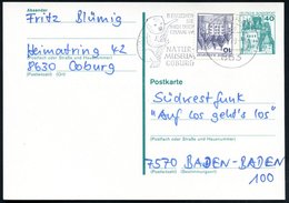 1979 863 COBURG 1, Maschinen-Werbestempel: ..NATUR-MUSEUM COBURG = Koala, Bedarfskarte (Bo.34 A , Letztjahr) - Bär / Bea - Autres & Non Classés