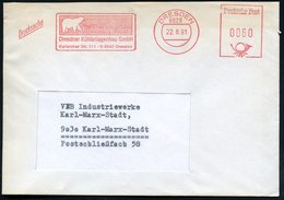 1991 (22.8.) 8028 DRESDEN, Absender-Freistempel: ..Dresdner Kühlanlagenbau GmbH = Eisbär, VGO-Firmenbrief - Bär / Bear / - Otros & Sin Clasificación