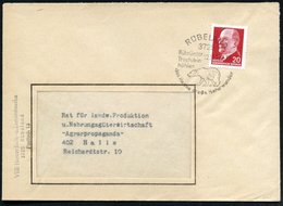 1972 (12.10.) 3725 RÜBELAND, Hand-Werbestempel: Rübeländer Tropfsteinhöhlen.. = Höhlenbär, Firmenbrief: VEB Harzer Kalk- - Andere & Zonder Classificatie