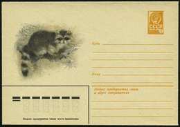 1981 UdSSR, 4 Kop. Ganzsachen-Umschlag, Ocker: Waschbär, Ungebr. - Bär / Bear / Ours / Orso - Sonstige & Ohne Zuordnung