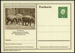1961 Hannover, 10 Pf. Bild-Ganzsache Heuss III, Grün: Zoo.. 4 Elefanten, Ungebr. (Mi.P 53/100-629) - Elefant / Elephant  - Other & Unclassified