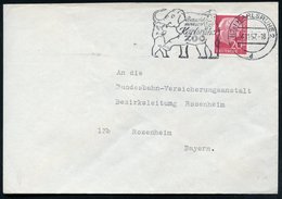 1957 (4.11.) (17 A) KARLSRUHE 2, Maschinen-Werbestempel: Besucht Uns Im Karlsruher ZOO = Elefant Mit Affe U. Bär, Bedarf - Autres & Non Classés