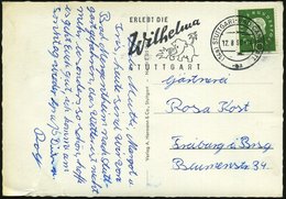 1960 (12.8.) (14 A) STUTTGART-BAD CANNSTATT, Maschinen-Werbestempel: ERLEBT DIE Wilhelma.. = Elefant (= Zoo Stuttgarts)  - Other & Unclassified