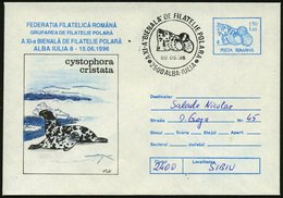 1996 (8.5.) RUMÄNIEN, 150 L. Sonder-Ganzsachenumschlag: XI. Biennale Polar-Philatelisten = Klappmütze (Cystophora Crista - Autres & Non Classés