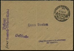 1948 (21.4.) TAMBACH-DIETHARZ (THÜR), 1948 Handwerbestempel: Erholungsort, Sommer- U. Winterfrische = Röhrender Hirsch + - Other & Unclassified